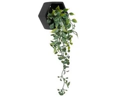 Dekoratyvinis augalas 45 cm juodas vazonas Atmosphera 155634A