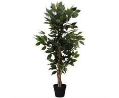 Dirbtinis fikusas juodame vazone, 115 cm