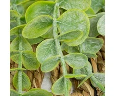 Atmosphera Dirbtinis eukaliptas austame puode, 70 cm