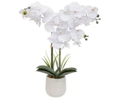 Atmosphera Dirbtinė orchidėja vazone RIVA, 60 cm