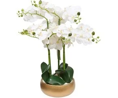 Atmosphera Dirbtinė orchidėja auksiniame vazone SANAE, aukštis 65 cm