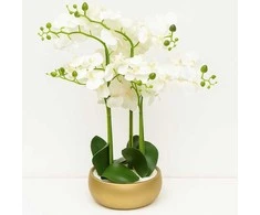 Atmosphera Dirbtinė orchidėja auksiniame vazone SANAE, aukštis 65 cm