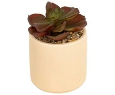 Atmosphera Dirbtinis sukulentas NILS vazonėlyje, 12 cm