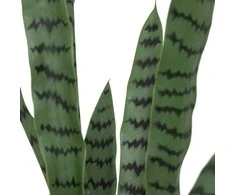 Atmosphera TOBY dirbtinis vazoninis sanseviera augalas, 90 cm