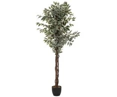 Atmosphera Aukštas dirbtinis figmedis vazone, 180 cm aukščio