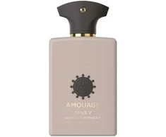 Amouage Opus V Woods Symphony EDP kvepalai vyrams, 100 ml