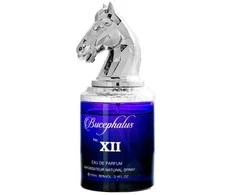 Armaf Bucephalus XII EDP parfumuotas vanduo unisex, 100 ml