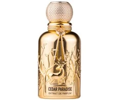 Auraa Desire Cedar Paradise PP kvepalai vyrams, 100 ml