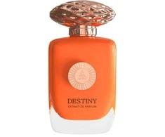 Auraa Desire Destiny PP kvepalai vyrams, 100 ml