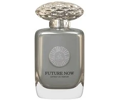 Auraa Desire Future Now PP kvapiklis unisex, 100 ml