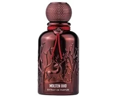 Auraa Desire Molten Oud PP kvepalai vyrams, 100 ml