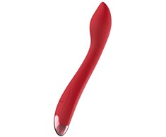 B Series Magic Wibrator – įkraunamos G taško USB 10 funkcijos