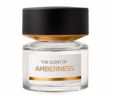 Bmw The Scent Of Amberness EDP parfumuotas vanduo vyrams, 100 ml