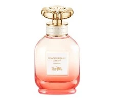 Coach Dreams Sunset EDP parfumuotas vanduo moterims, 40 ml