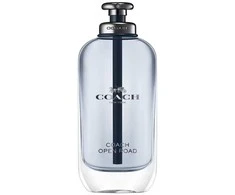 Coach Open Road EDT tualetinis vanduo vyrams, 100 ml