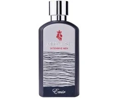 Emir Atomise Intensive EDP parfumuotas vanduo vyrams, 100 ml