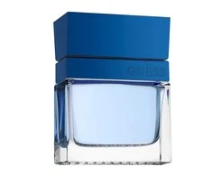 Kvepalai vyrams Guess Seductive Homme Blue EDT, 100 ml