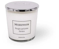 Alkotest MIZENSIR Gingembre Rose kvapioji žvakė 230 ml
