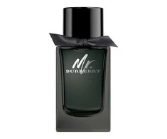 Burberry Mr. Burberry EDP parfumuotas vanduo vyrams, 100 ml