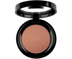 Pierre Rene Professional Rouge Powder 07, 6 g
