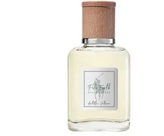 Ralph Lauren Polo Earth Antilles Vetiver EDT tualetinis vanduo unisex, 40 ml