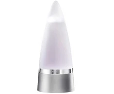 Rochas Man tualetinis vanduo, purškiamas 100ml