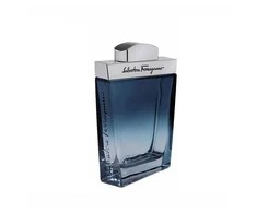 Salvatore Ferragamo Subtil Pour Homme EDT tualetinis vanduo vyrams, 100 ml