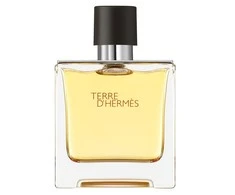 Hermes Terre D'hermes Pure Parfum PP kvepalai vyrams, 75 ml