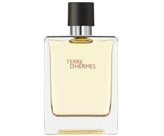 Hermes, Terre d'Hermes, Eau De Toilette, For Men, 100 ml