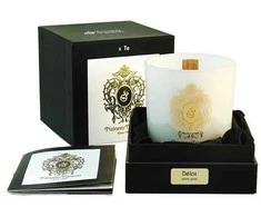 Tiziana Terenzi Delox kvapioji žvakė 170 g