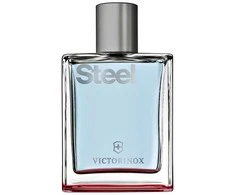 Victorinox Steel EDT tualetinis vanduo vyrams, 100 ml