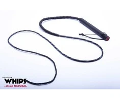 Whips Odinis botagas 135cm