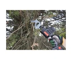 Grandininis pjūklas Akumuliatorinis genėjimo pjūklas Elem Garden Technic, 20 V