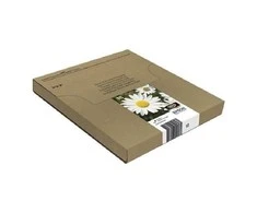 Epson 18 EasyMail "Daisy" Ink Multipack (4 spalvų)