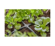 Gardena Micro-Drip sistema - 4,6 mm (3/16") 10 vnt., 13214-20