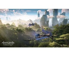 Sony Computer Entertainment Horizon Forbidden West PS5