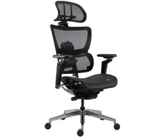 Antares Fiero Mesh, Juodas