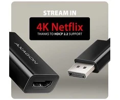 AXAGON RVD-HI20N DisplayPort - HDMI 2.0 adapteris 4K/60Hz