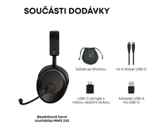 Ausinės Beyerdynamic MMX 230 juoda