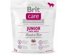 Sausas maistas jaunam šuniui (3 mėn - 2 metai), didelių veislių virš 25 kg - Brit Care Dog Grain-Free Junior Large lašiša 1kg