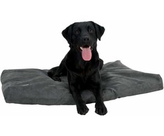 Buster Calibra KRUUSE Memory Foam dog bed 120x100cm pilkas
