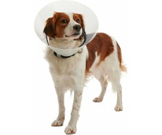 KRUUSE BUSTER Clic Collar, 12,5 cm, transparent, 10pcs