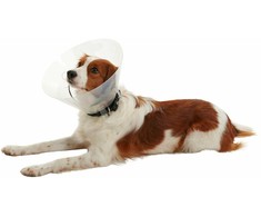 KRUUSE BUSTER Clic Collar, 12,5 cm, transparent, 10pcs