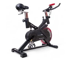 Spiningo dviratis inSPORTline Alfan (iki 100kg, smagr. 6kg)