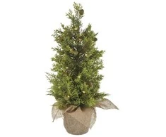 Emos LED medžio, 50 cm, indoor and outdoor, warm baltas, timer