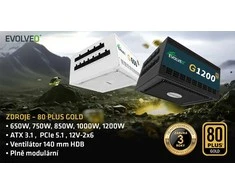 Maitinimo šaltinis Evolveo G650 650W 80 GOLD ATX 3.1 Baltas (G650-WH)