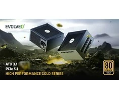 EVOLVEO G750, 750W, 80+ GOLD, ATX 3.1, PCIe 5.1, Modular