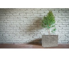 G21 Doniczka G21 Natur Box 71x51x30