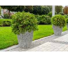 G21 Doniczka G21 Natur Plump 44x61x44
