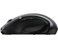 Pelės Genius Ergo 8200S grafitas (31030029401)